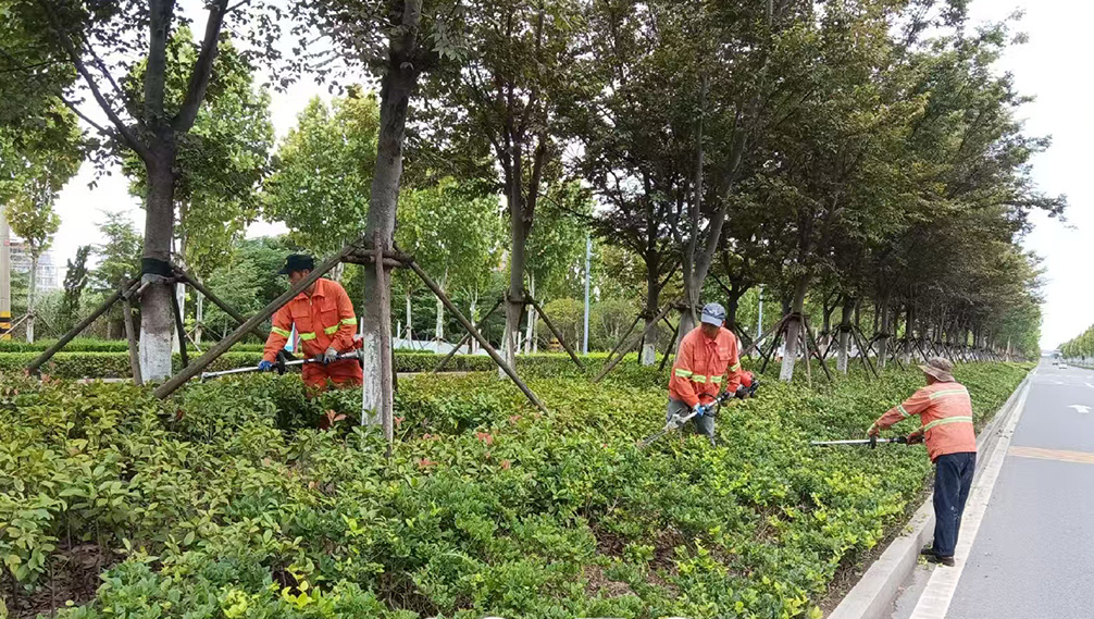 b2c96dfed1cc2503f2066b8dbf8bc5fe